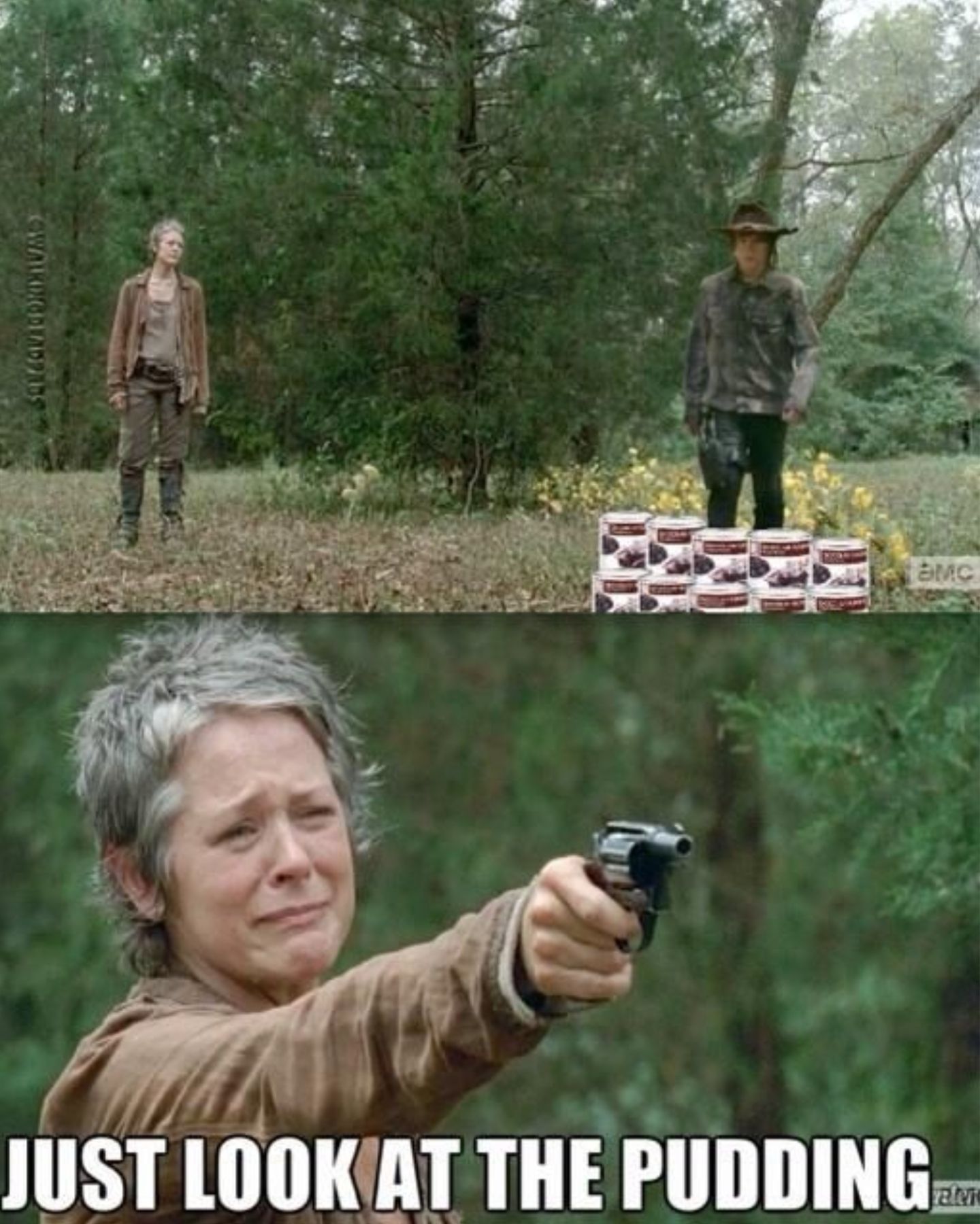 Funny The Walking Dead meme about Carol telling Carl to look at pudding. 