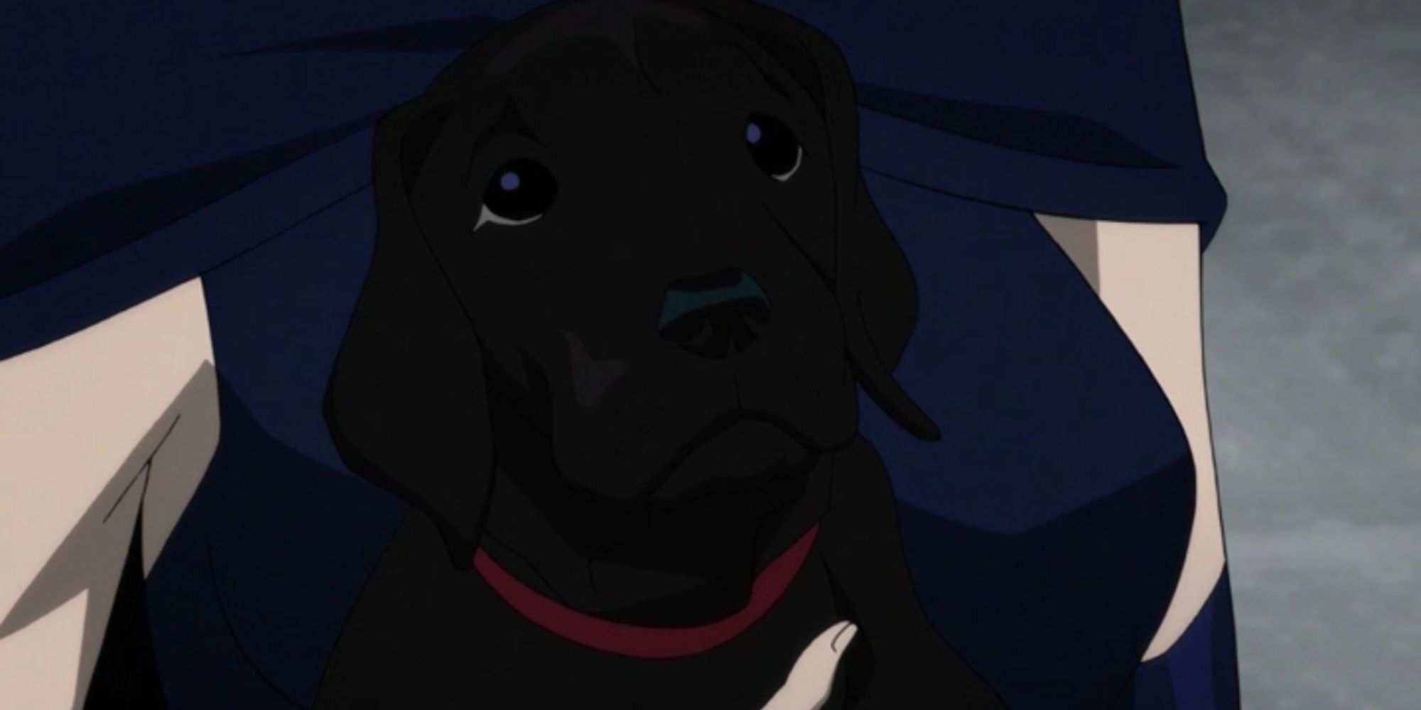 Damien recibe un cachorro de hielo como regalo en Teen Titans - The Contract of Judas
