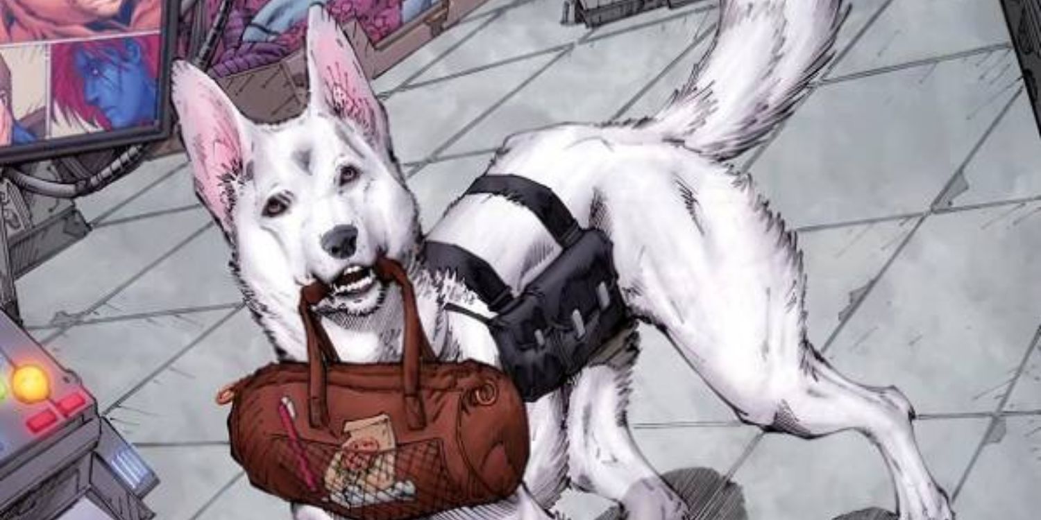 Rex, o Cão Maravilha, segurando uma mochila