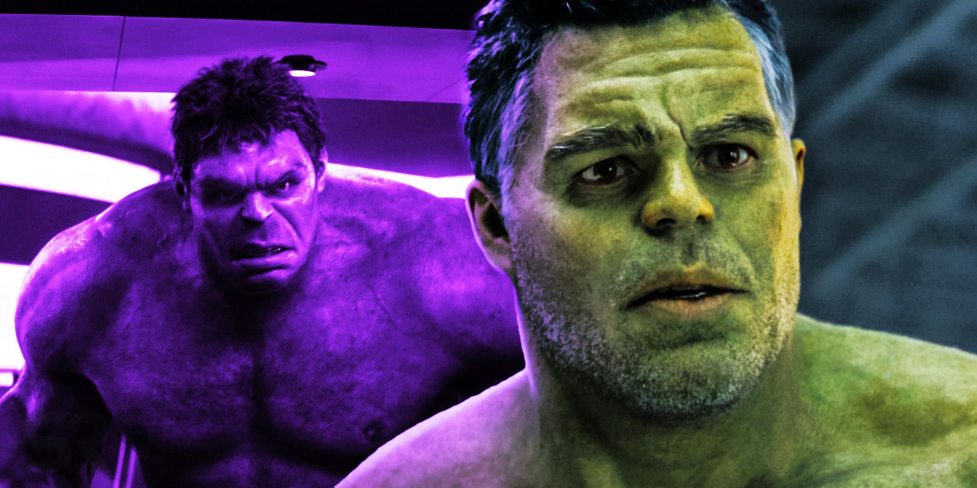 Smart Hulk Angry Hulk