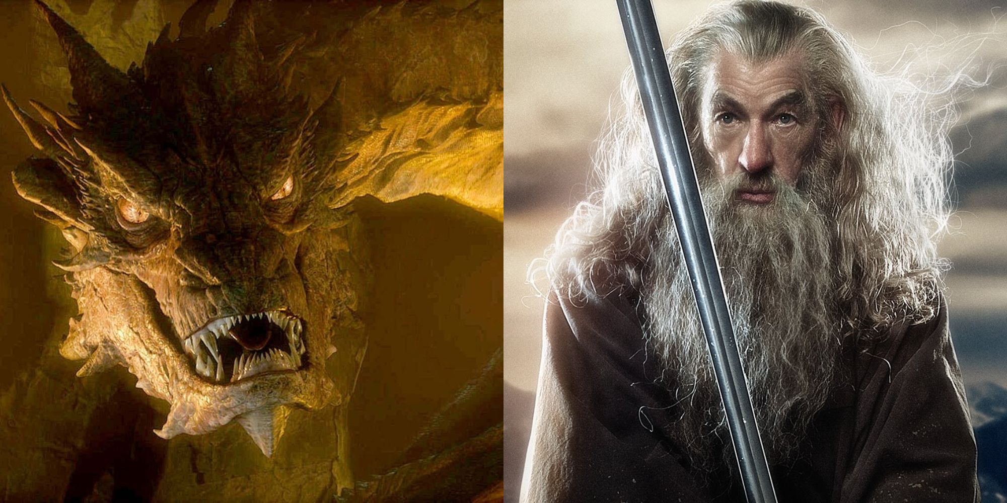 Split image showing Smaug and Gandalf in The Hobbit trilogy.
