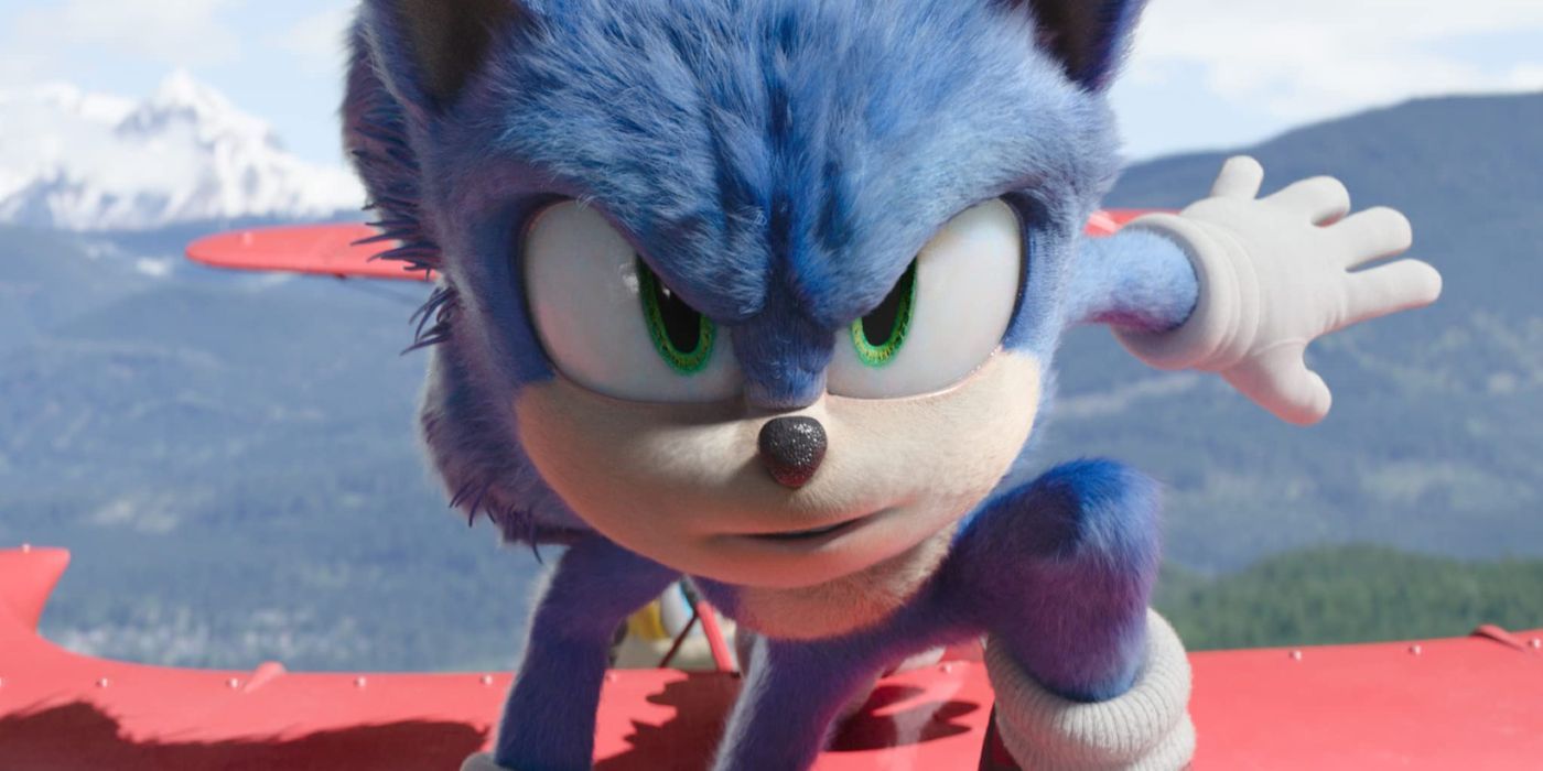 Sonic the Hedgehog on a plane