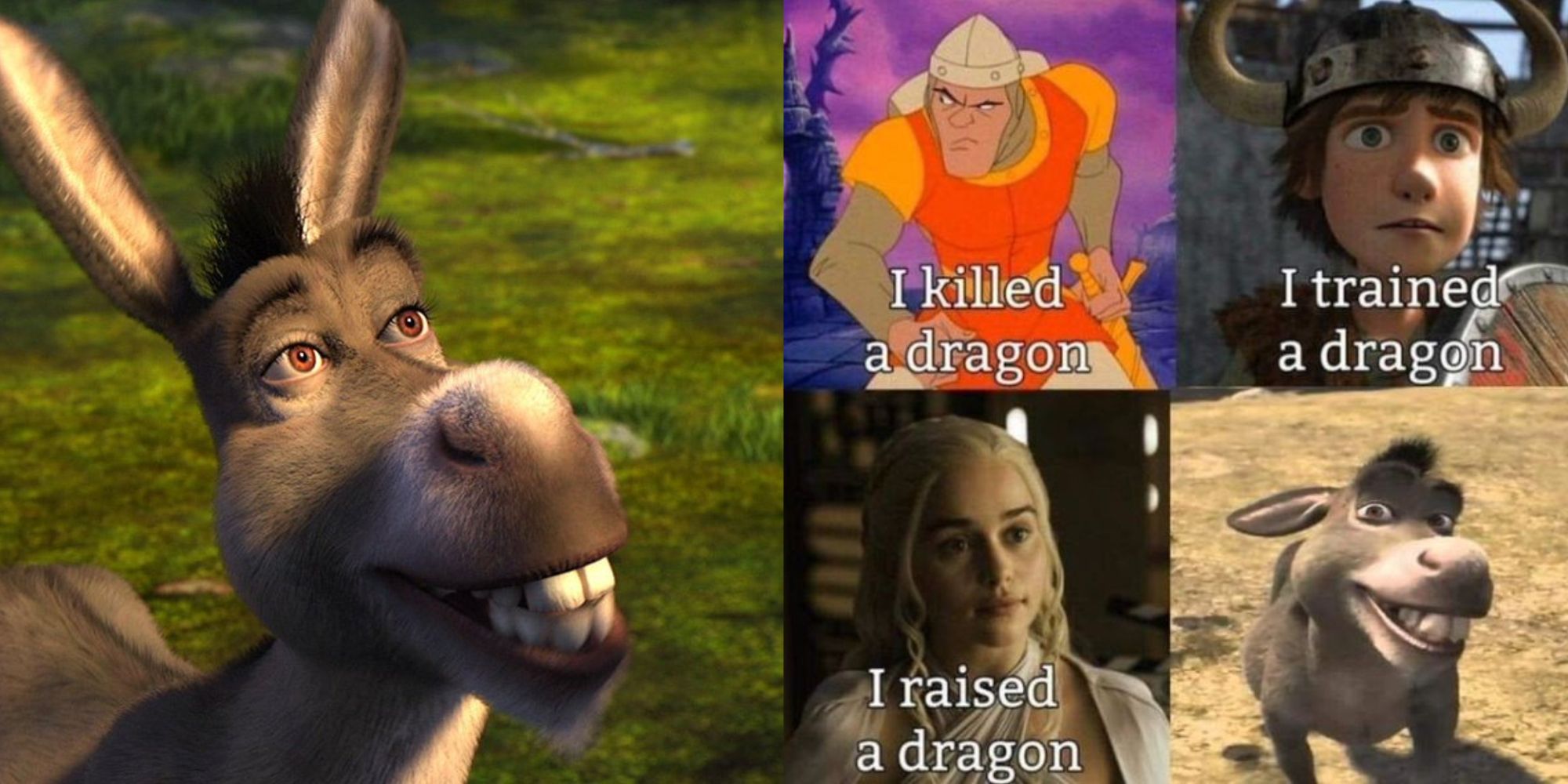 Split Image of Donkey from Shrek smiling and a meme about him and Dragon.