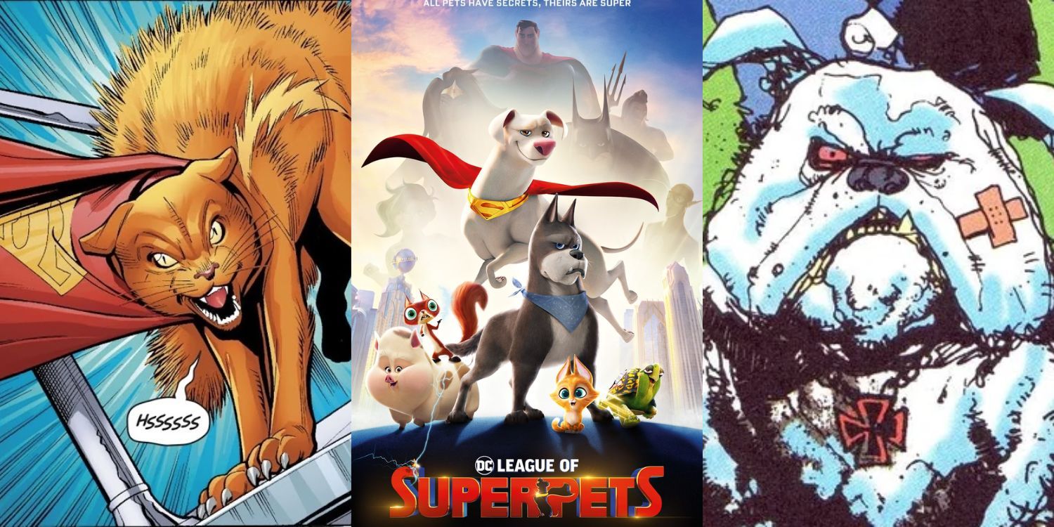 Split Image of Streaky the Super-Cat, DC League of Super-Pets Poster, and Dawg