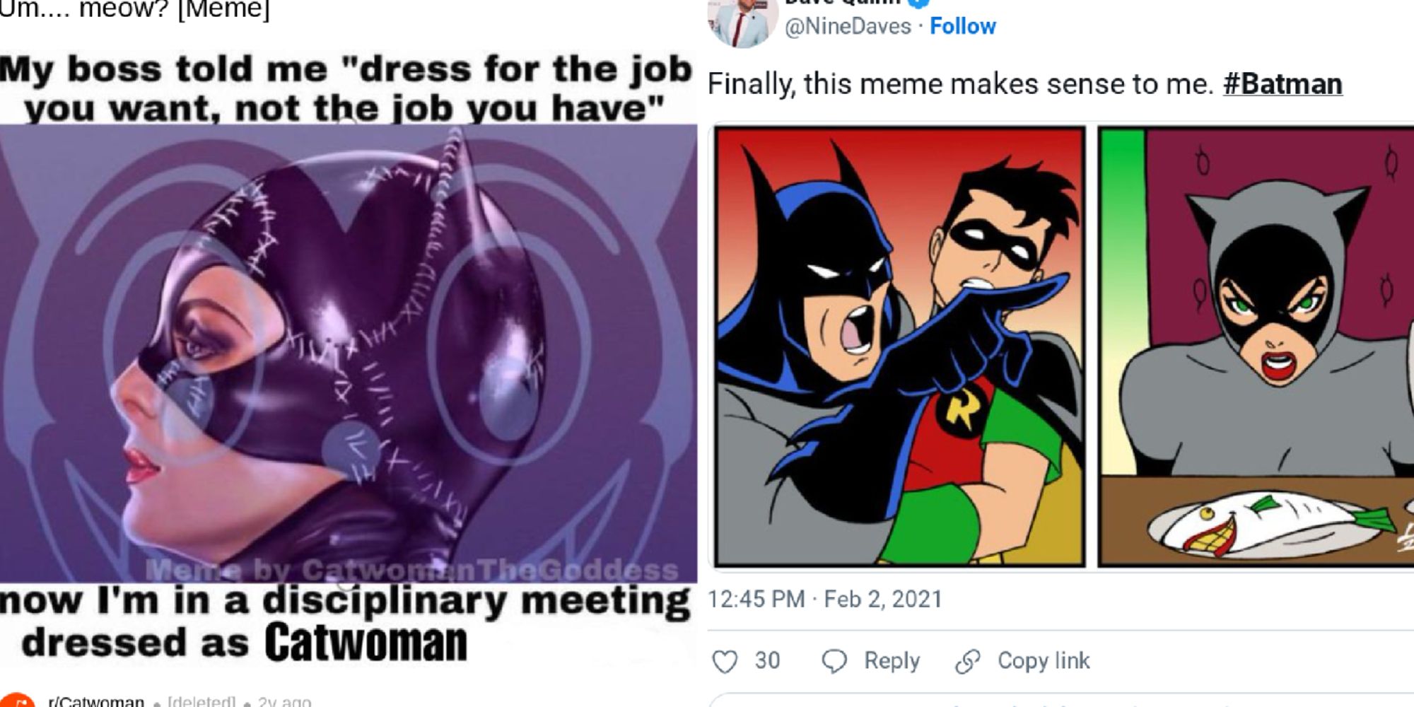 Batman: 10 Memes That Perfectly Sum Up Catwoman As A Character