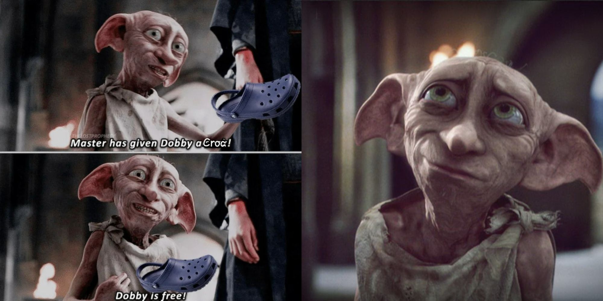 dobby yes master meme