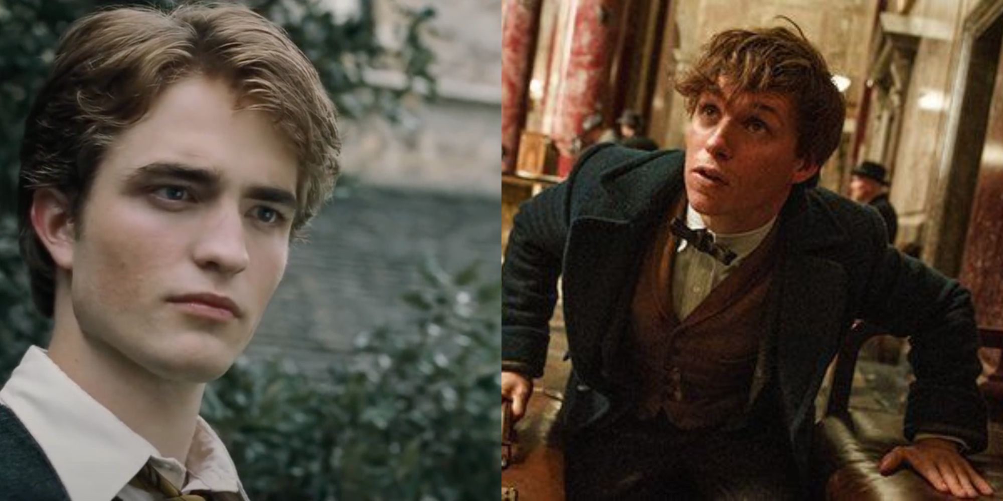 Split images of Cedric Diggory in Harry Potter 4 and Newt Scamander in Fantastic Beasts