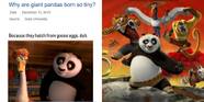 Kung Fu Panda Meme Our Battle Will Be Legendary At Michael Birdwood Blog Kung Fu Panda Meme Our Battle Will Be Legendary At Michael Birdwood Blog