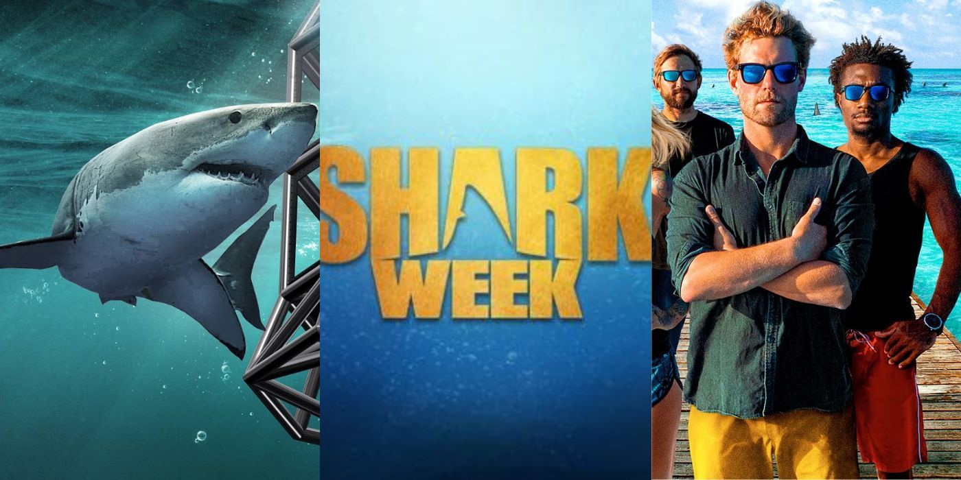 Manga 10 Discovery+ Documentaries To Watch If You Love Shark Week 🍀
