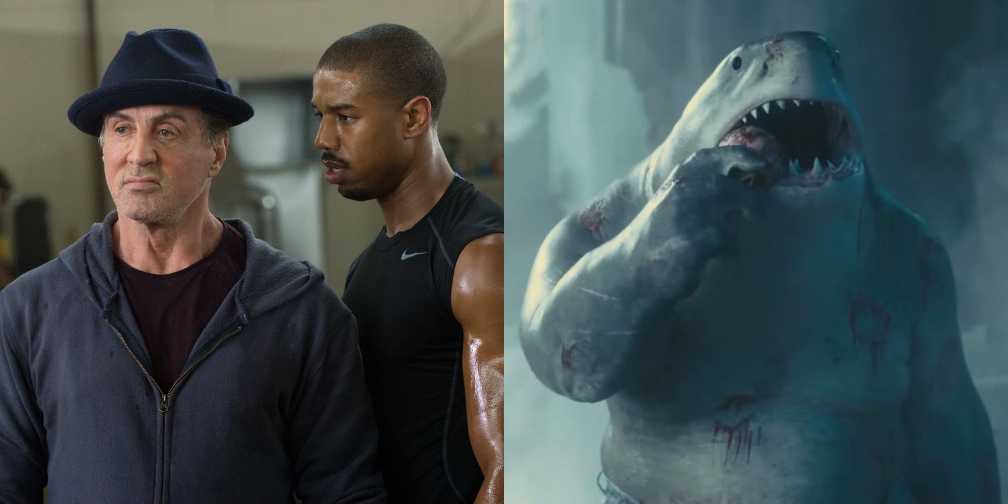 Split image showing Sylvester Stallone in Creed and The Suicide Squad.