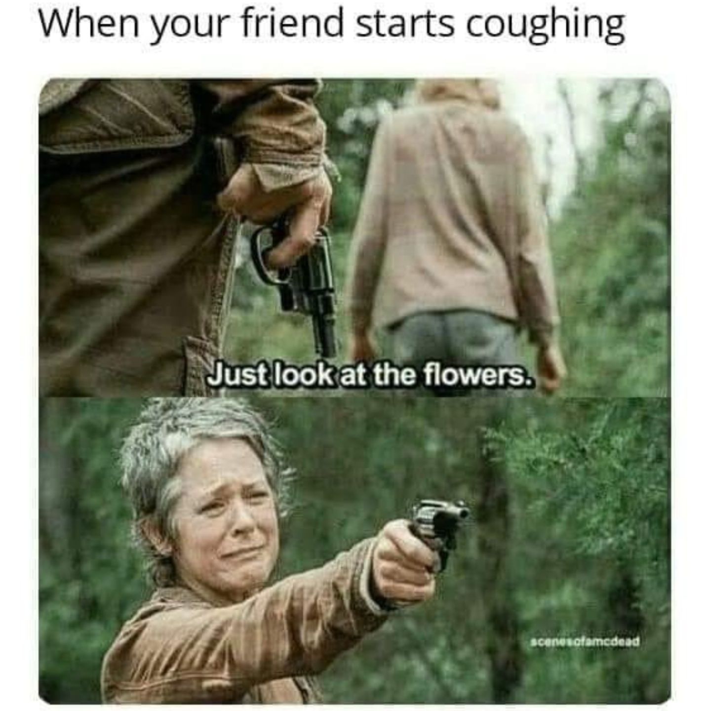 Meme about Carol being relatable when she tells Lizzie to look at the flowers. 