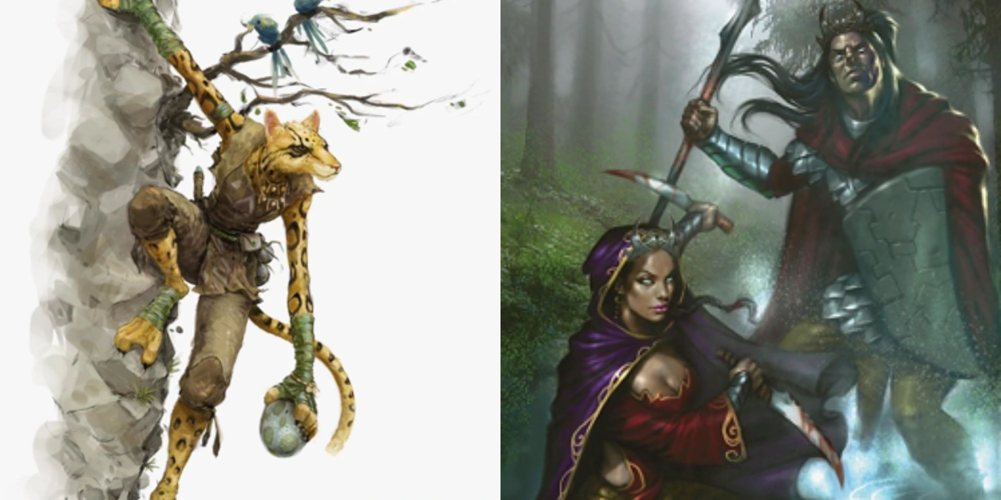 D&D races and species guide: Which to choose in 5E