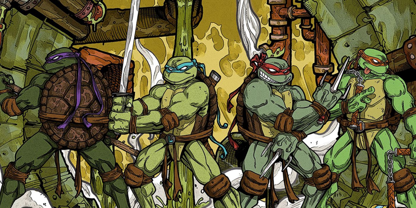 Teenage Mutant Ninja Turtles comic panel.