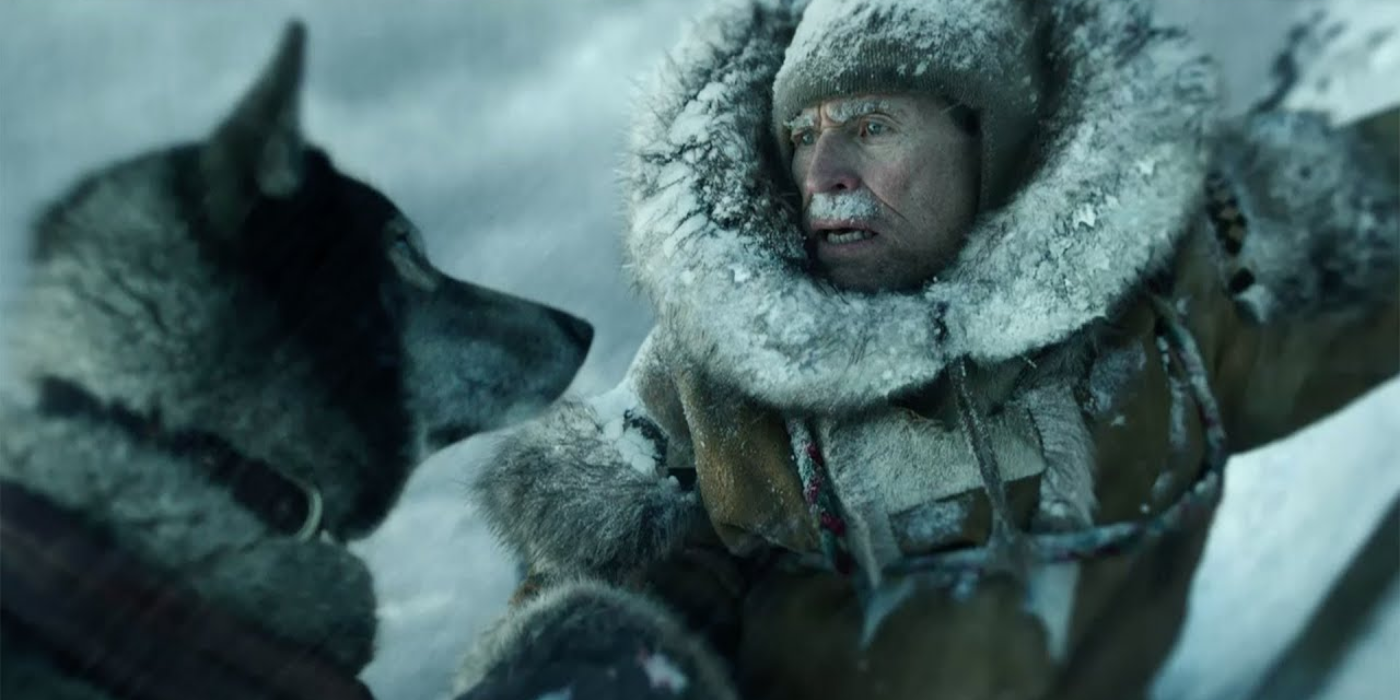 Togo looking at his cold owner