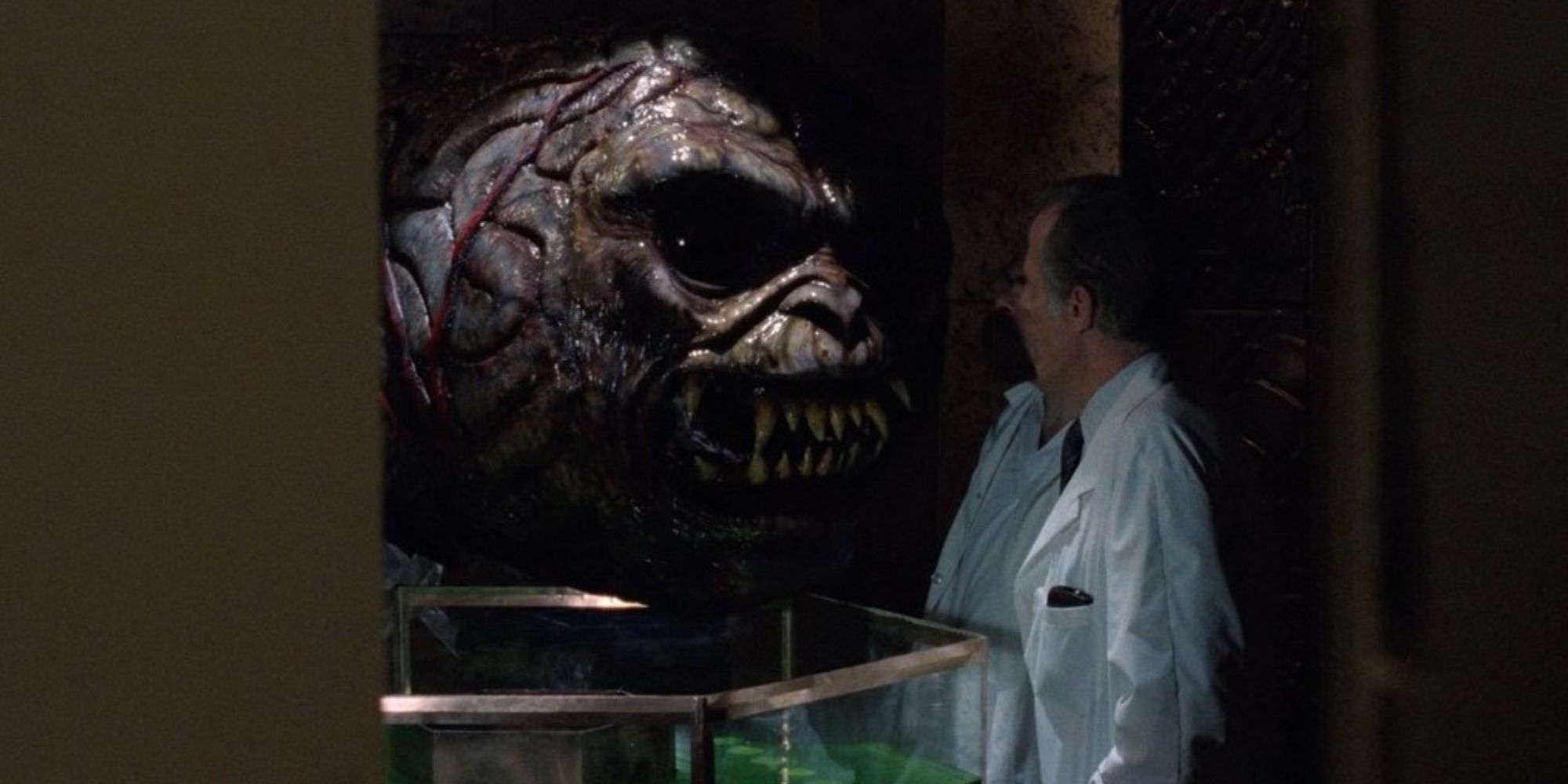 A team of scientists test The Brain