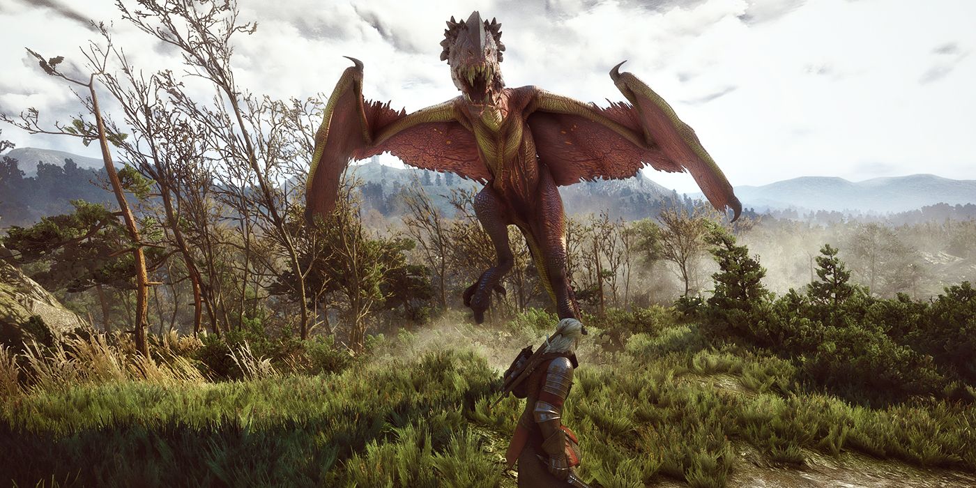 The Witcher games wyvern