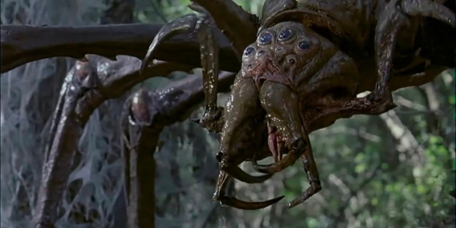 Scariest Spiders In Horror Movies Ranked