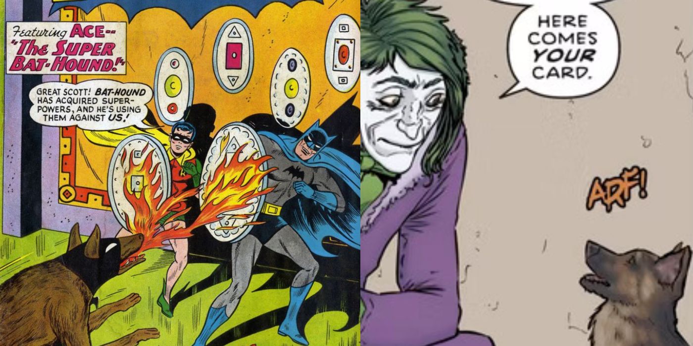 Split image showing Ace in different DC comics issues