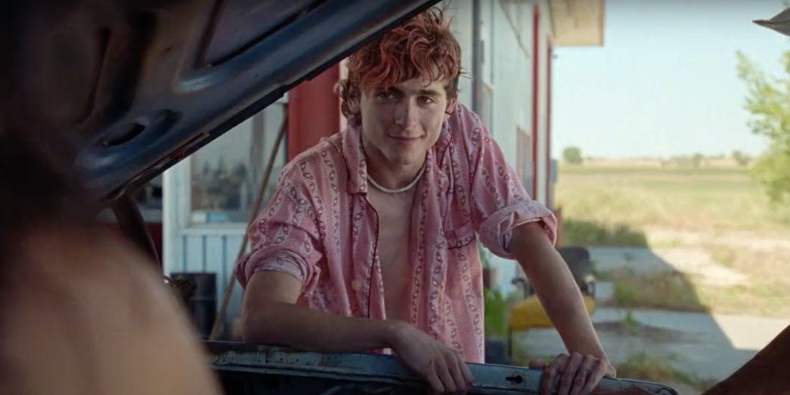 Timothée Chalamet Bones &amp; All