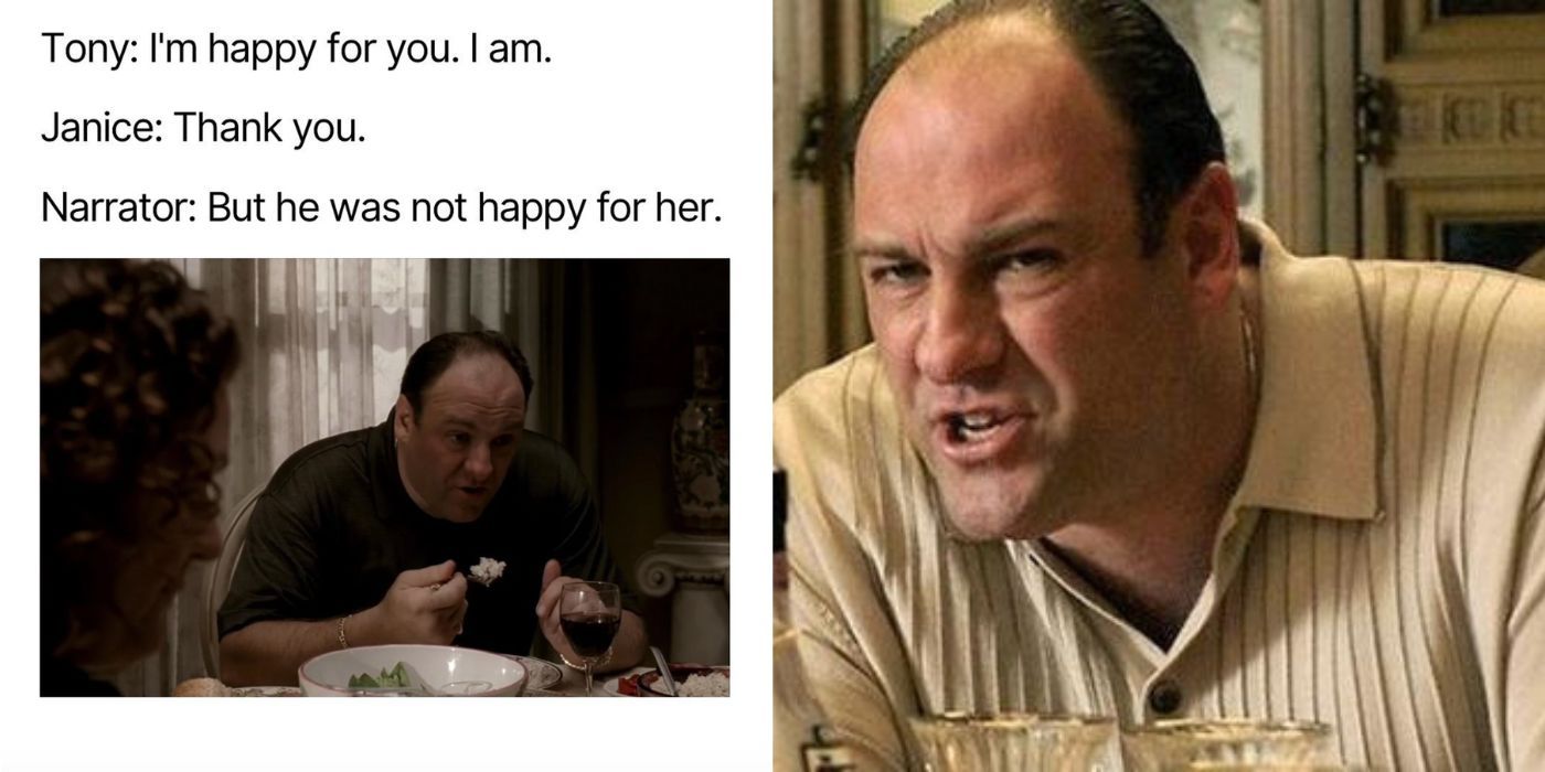 Two Side By Side Images Of Meme And Tony Soprano 