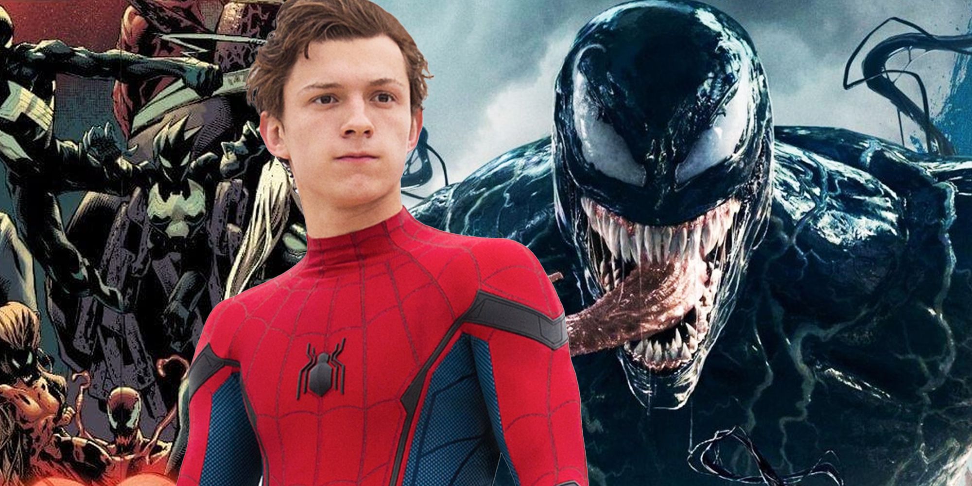 Venom, Spider-Man, and the symbiotes
