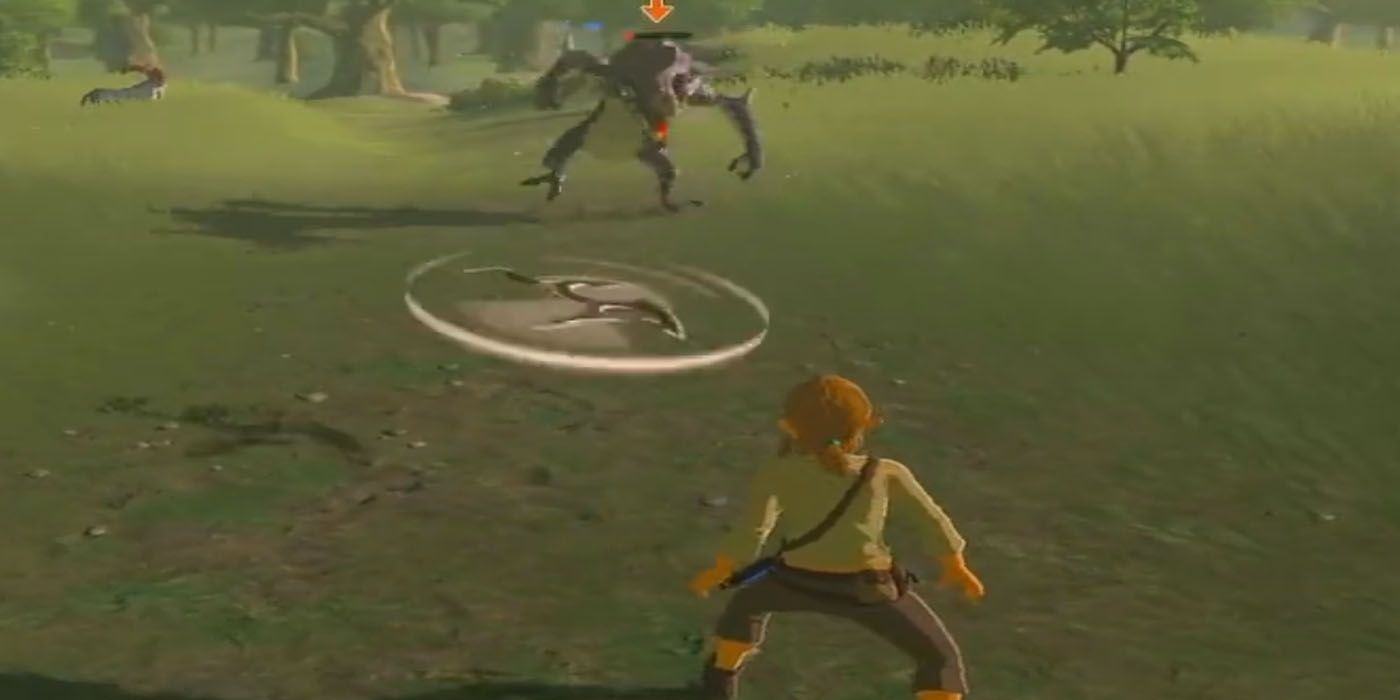 Breath of the Wild Player Pulls Off Baffling Boomerang Stunt