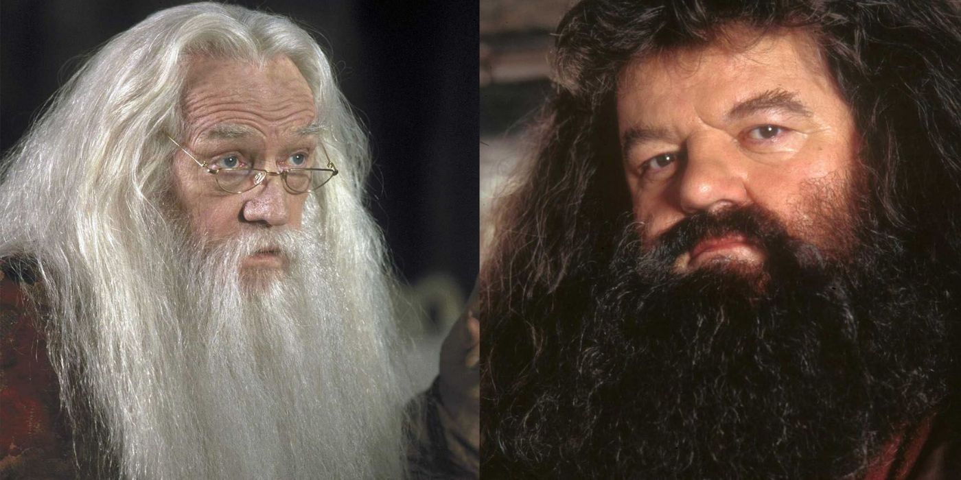 A split image showing Dumbledore on the left and Hagrid on the right from Harry Potter
