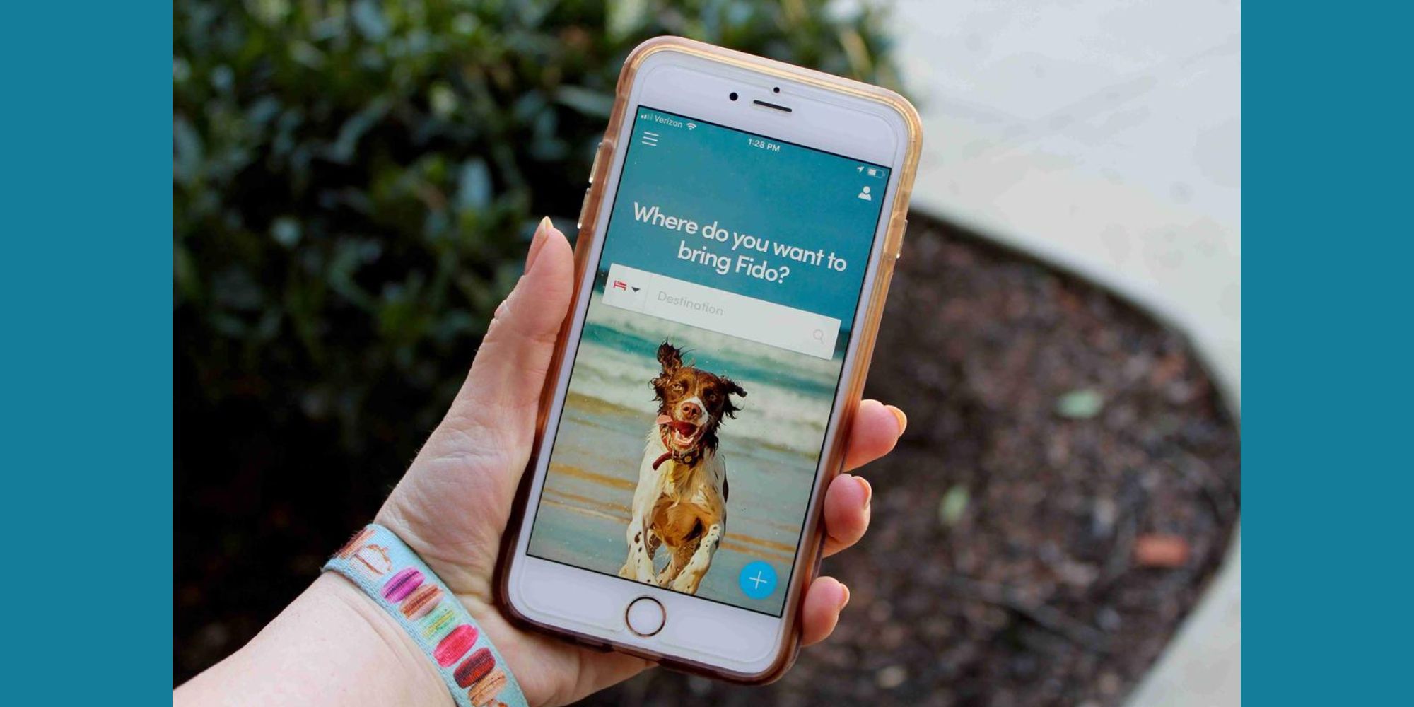 A feminine hand hold an iPhone. On the screen theres a photo of a brown and white dog running on the beach. Above the photo it reads. "Where do you want to being Fido?"