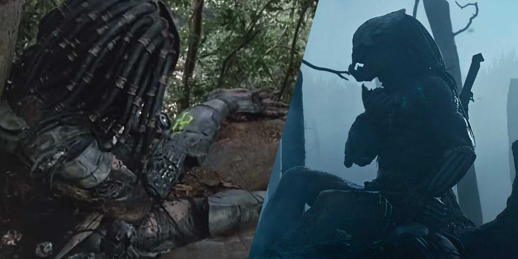 predator prey surgery