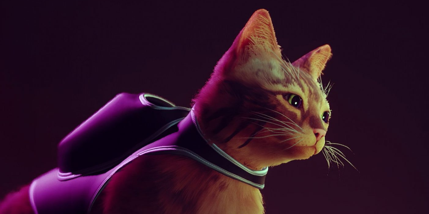 New Indie Game Release Stray Is Pawsitively Purrfect