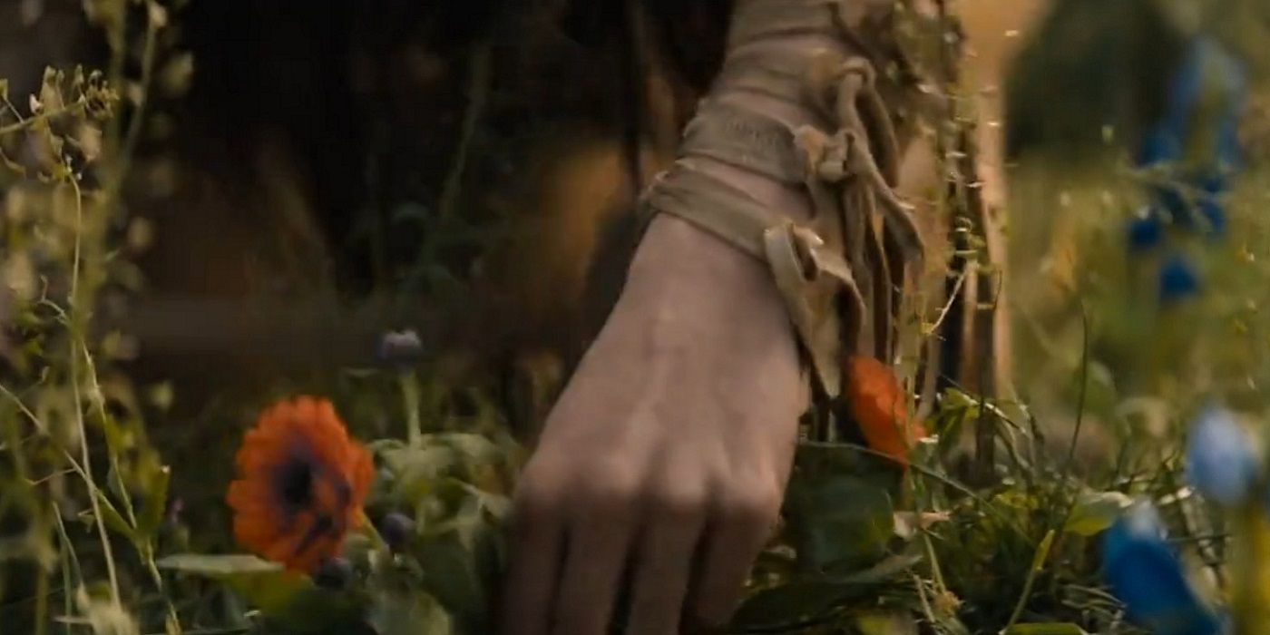 Orange Flower in Prey