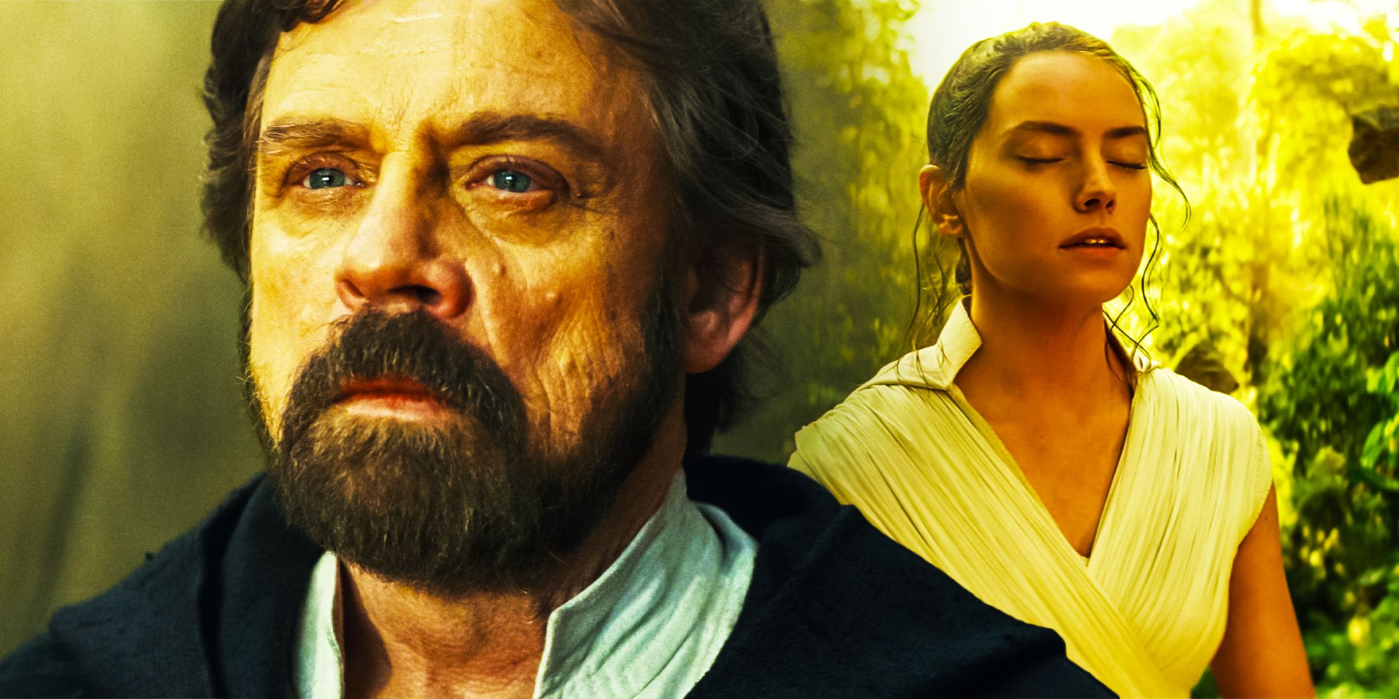 what if luke skywalker was Rey father star wars last jedi