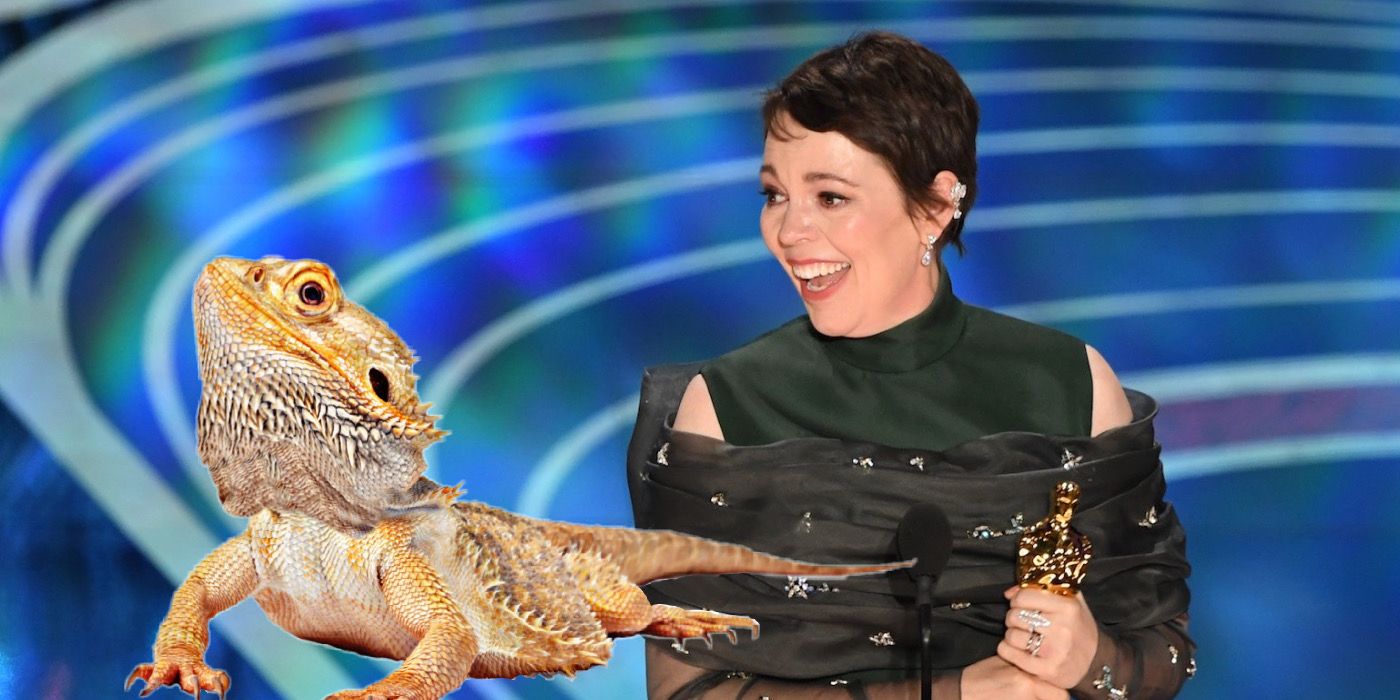 Olivia Colman aceita Oscar ao lado de dragão barbudo