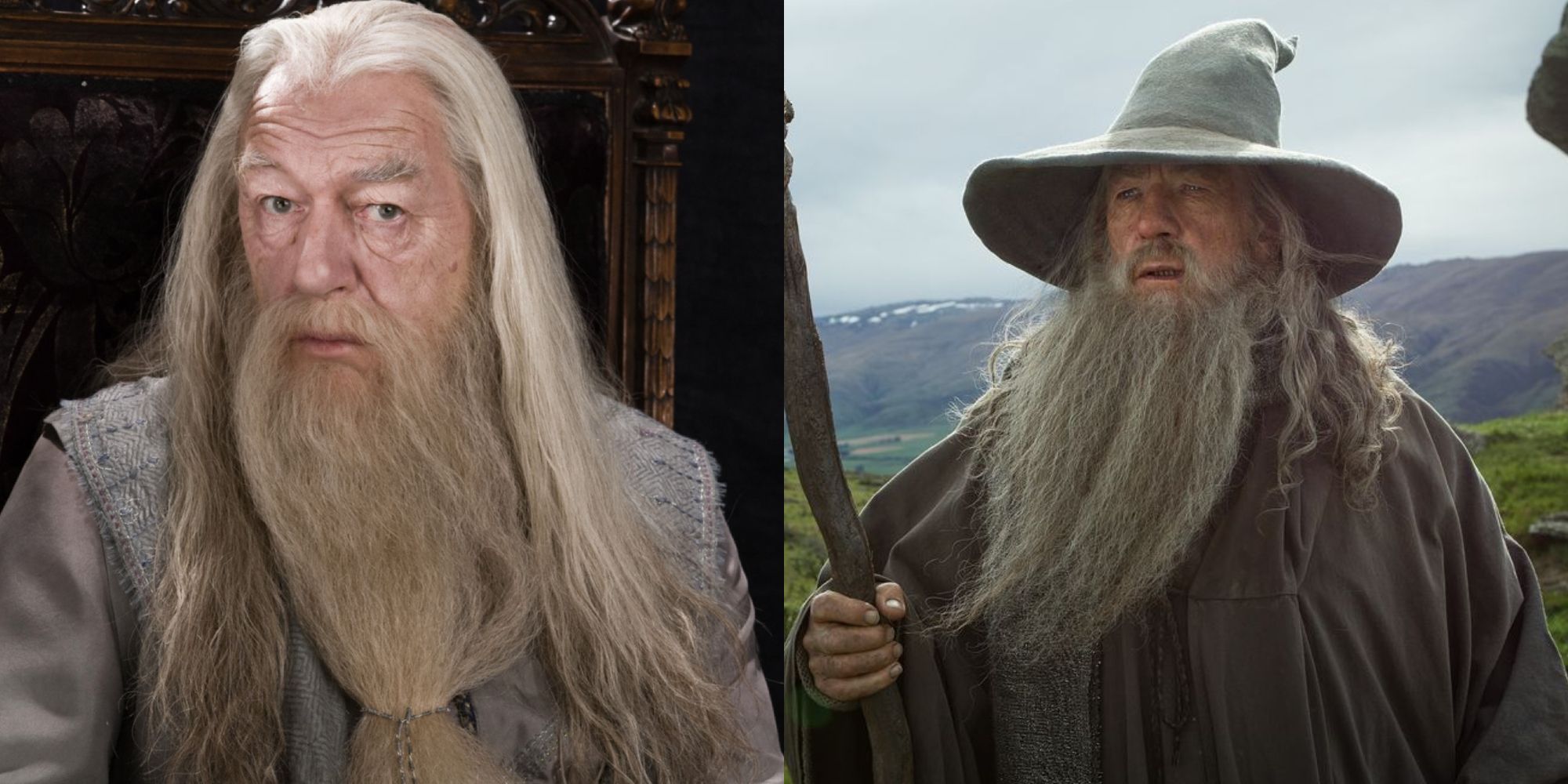 Alvo Dumbledore e Gandalf