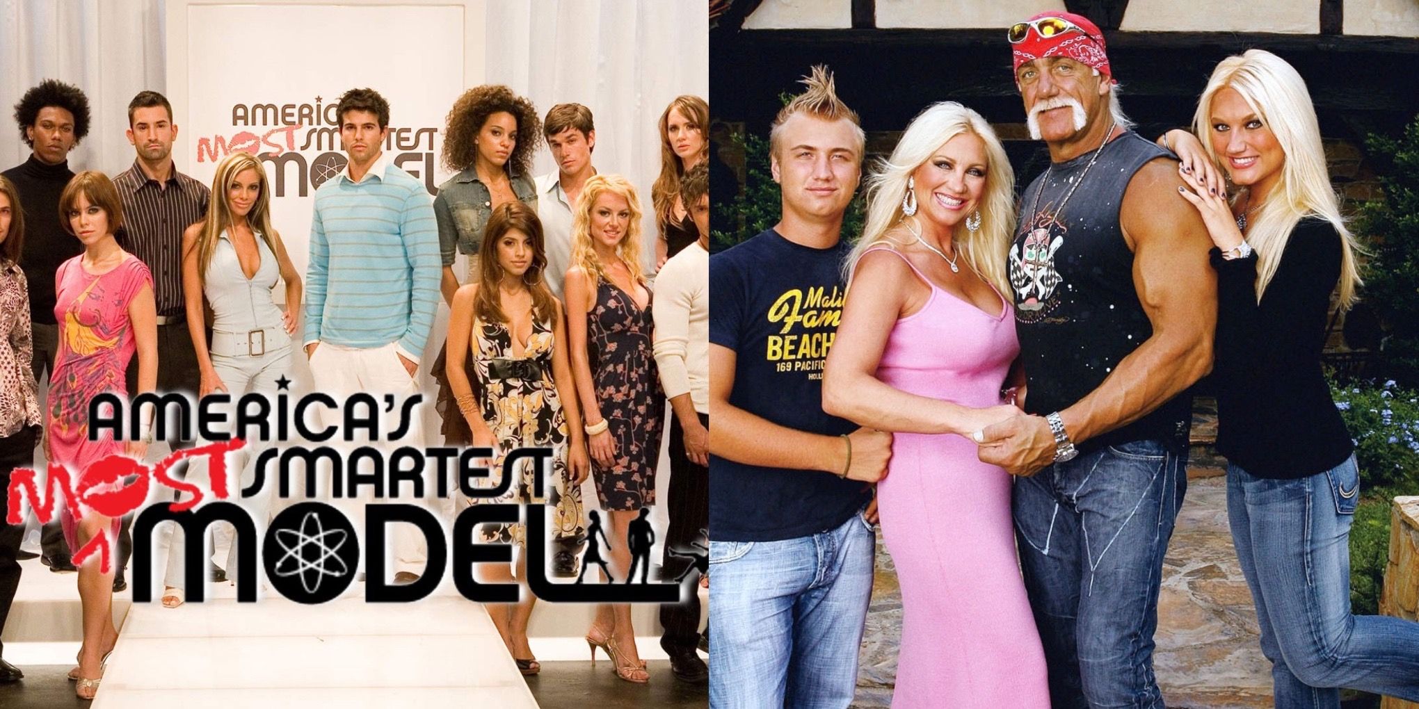 8 VH1 Reality TV Shows You Existed