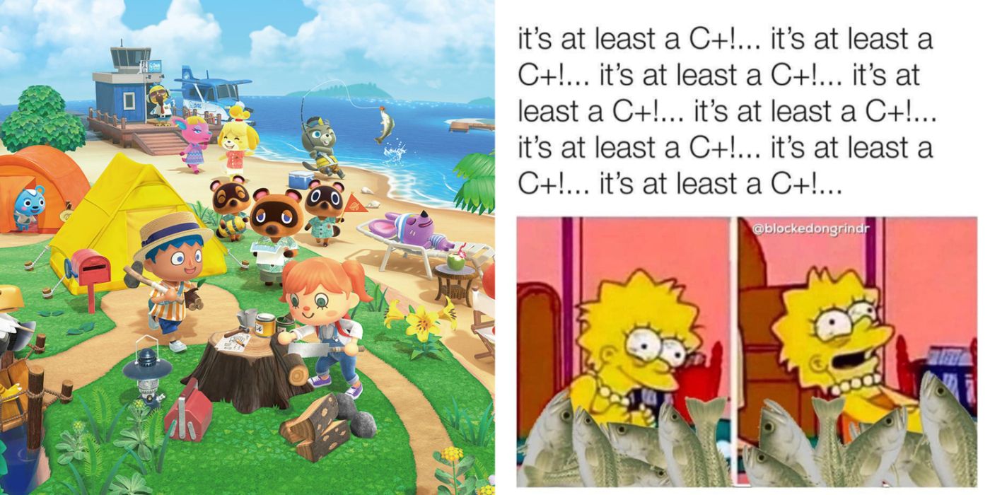 Animal Crossing New Horizon cover and It's at least a C+ meme