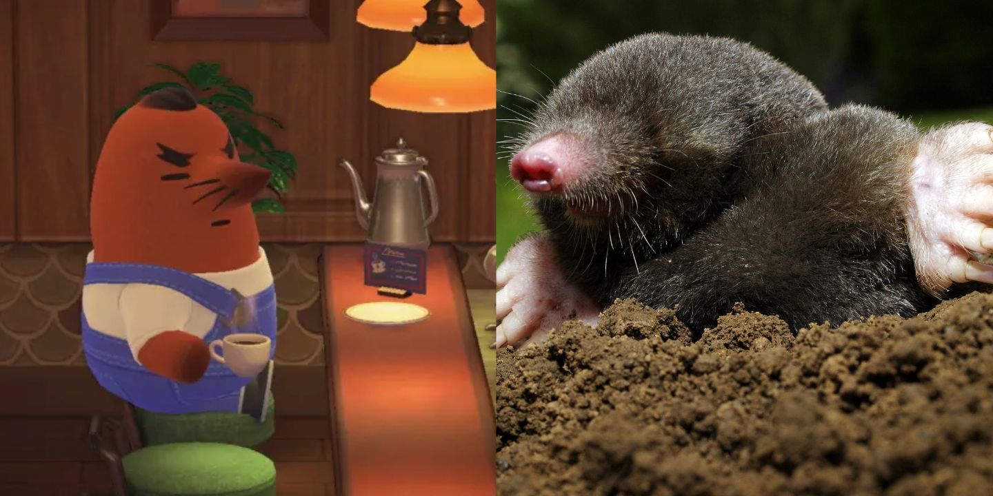 Animal Crossing character and a mole