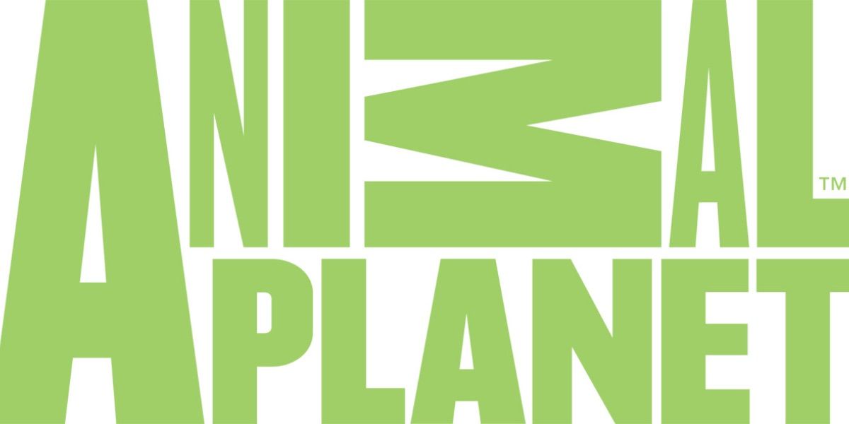 The Animal Planet network logo