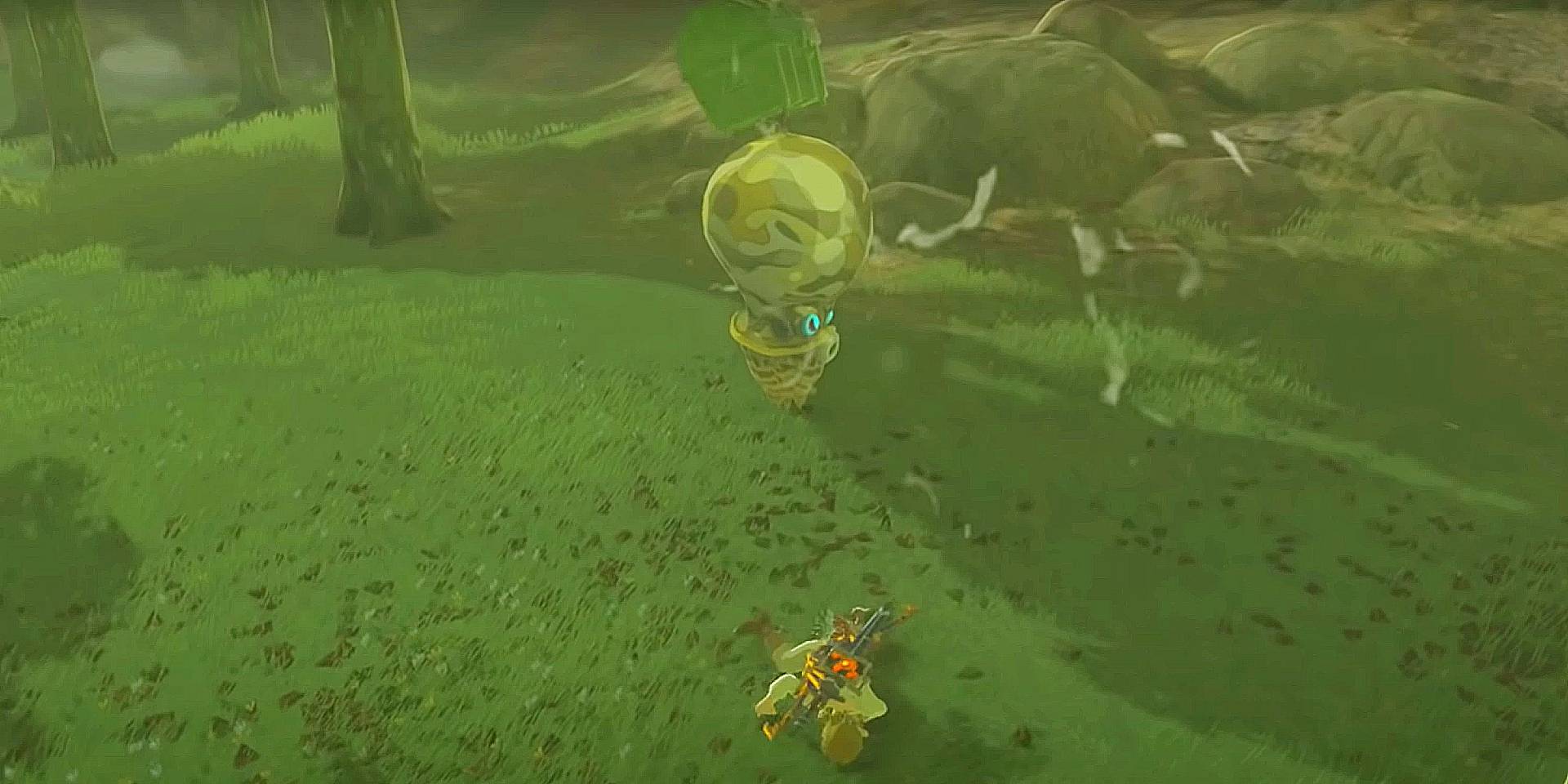 Koyin botw