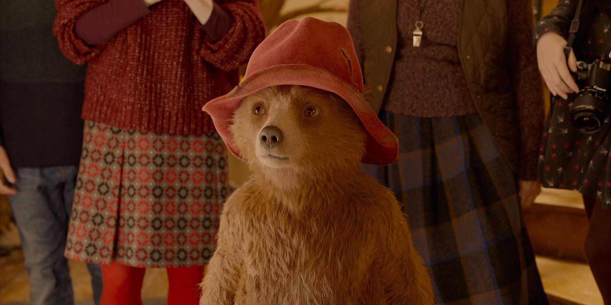 Paddington wearing his red had in the 2014 movie