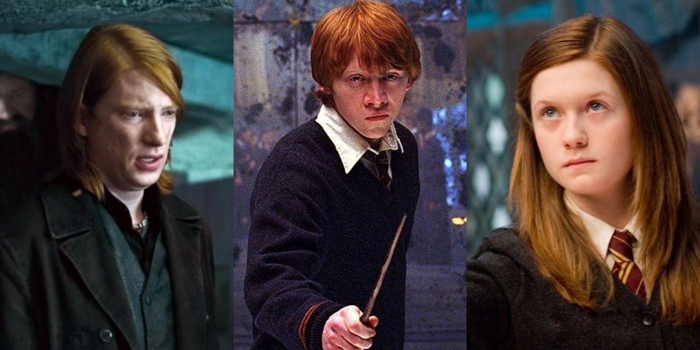 Harry Potter Bill Weasley And Charlie