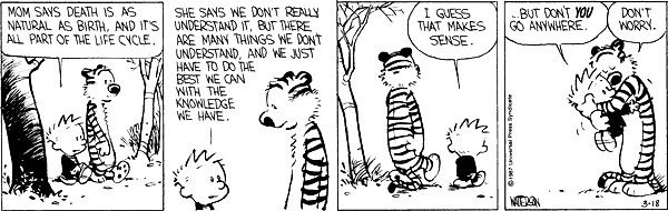Tira final de guaxinim de Calvin e Hobbes