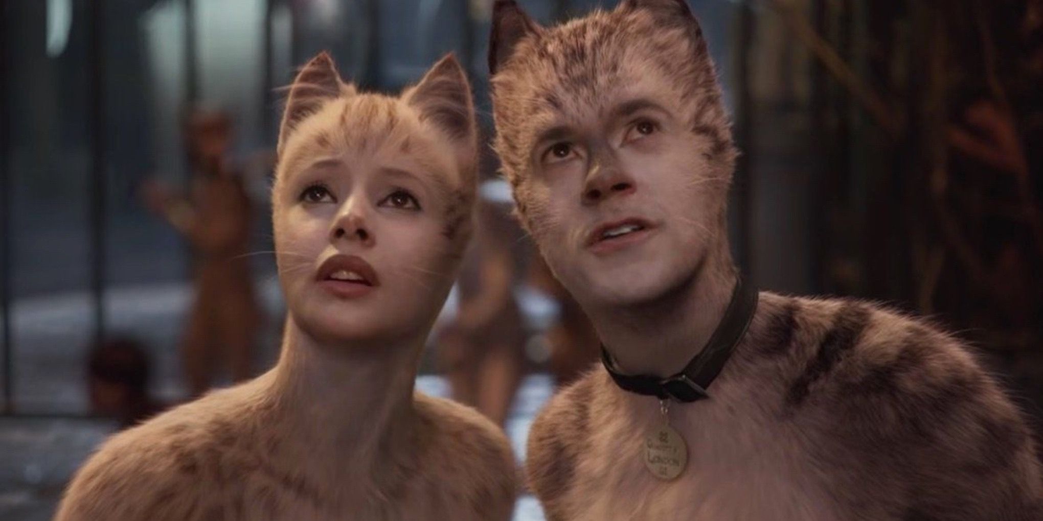 dois gatos olham para cima em Cats 2019