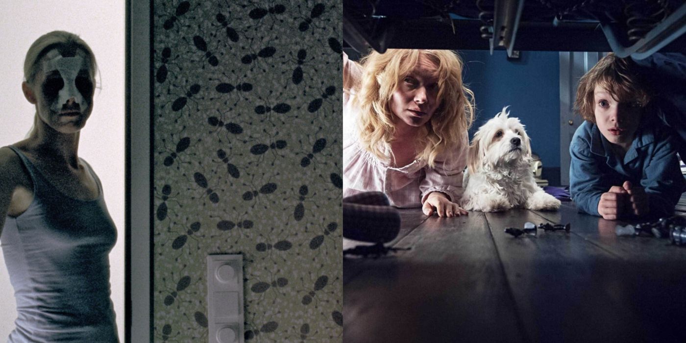 Scenes from Goodnight Mommy and The Babadook