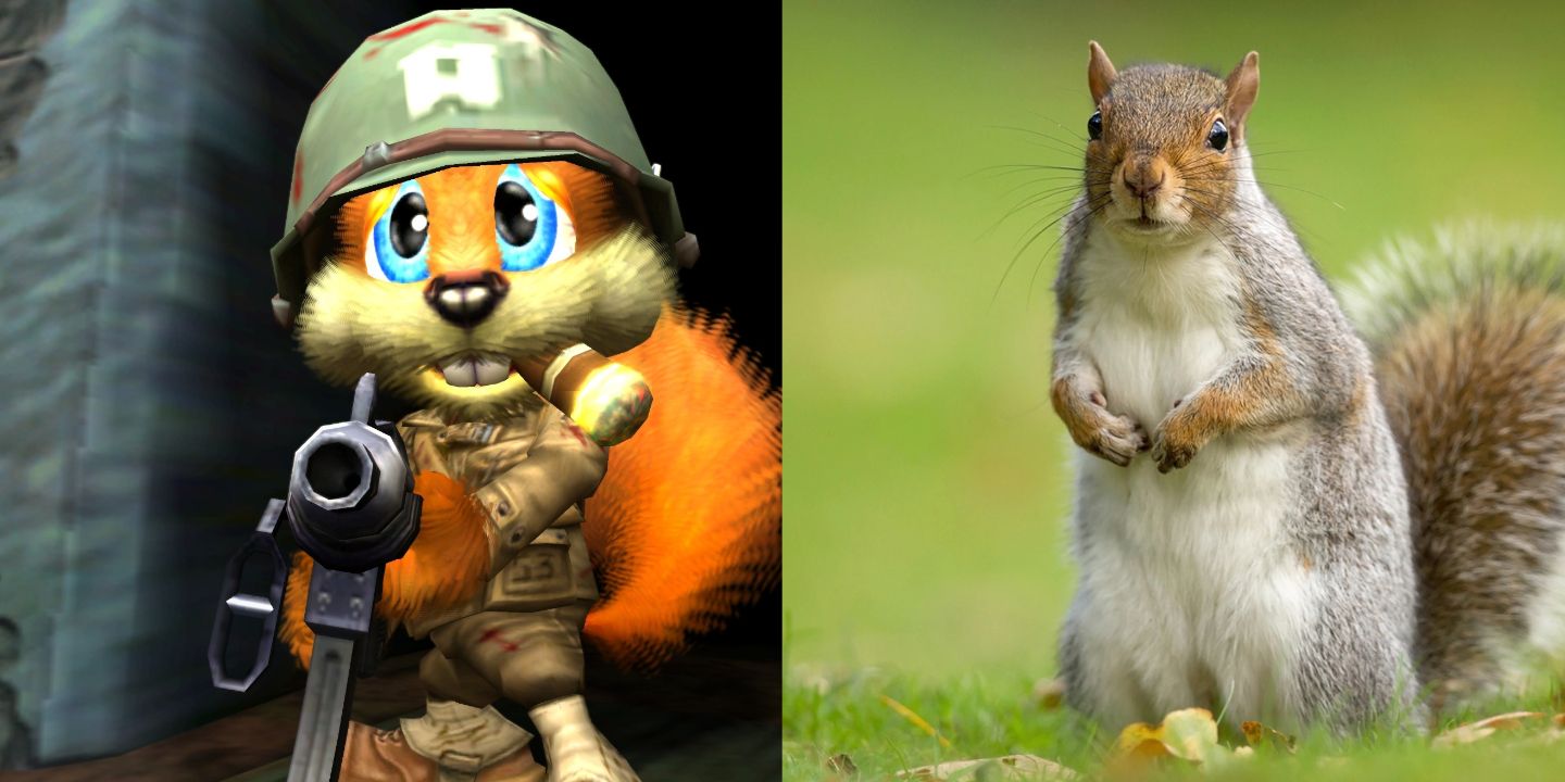 Conker and a squirrel 