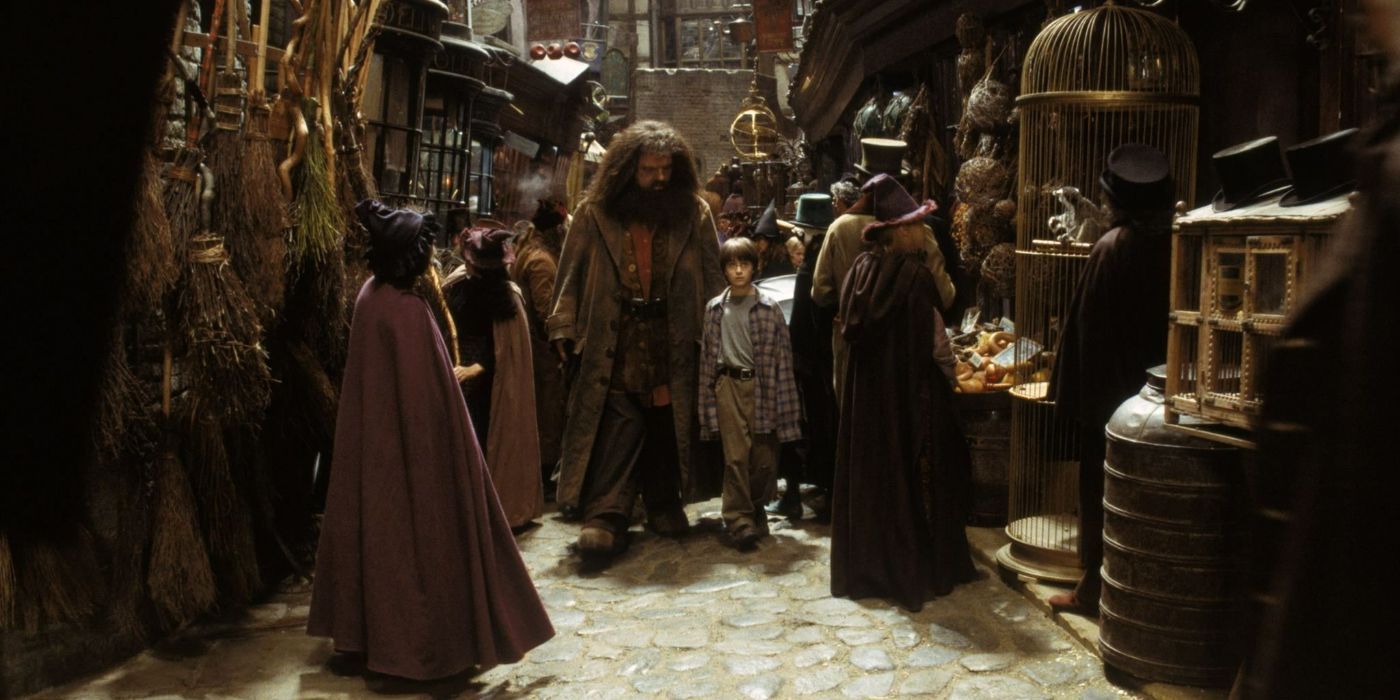 Harry and Hagrid Walking through Diagon Alley in Harry Potter