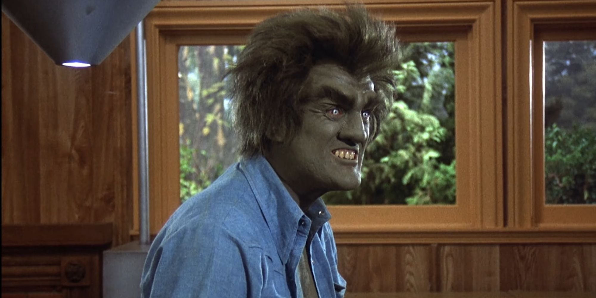 Dirk Durock as the evil Hulk AKA Swamp Thing in The Incredible Hulk (1978)