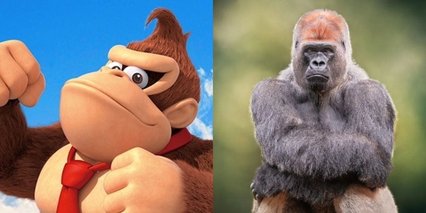 Donkey Kong and an ape