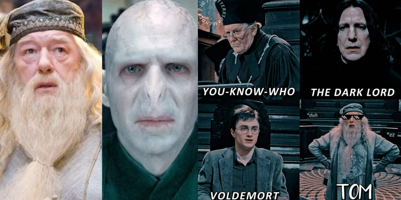 Yur a Meme Harry: 20 Harry Potter Memes That Even the Dark Lord