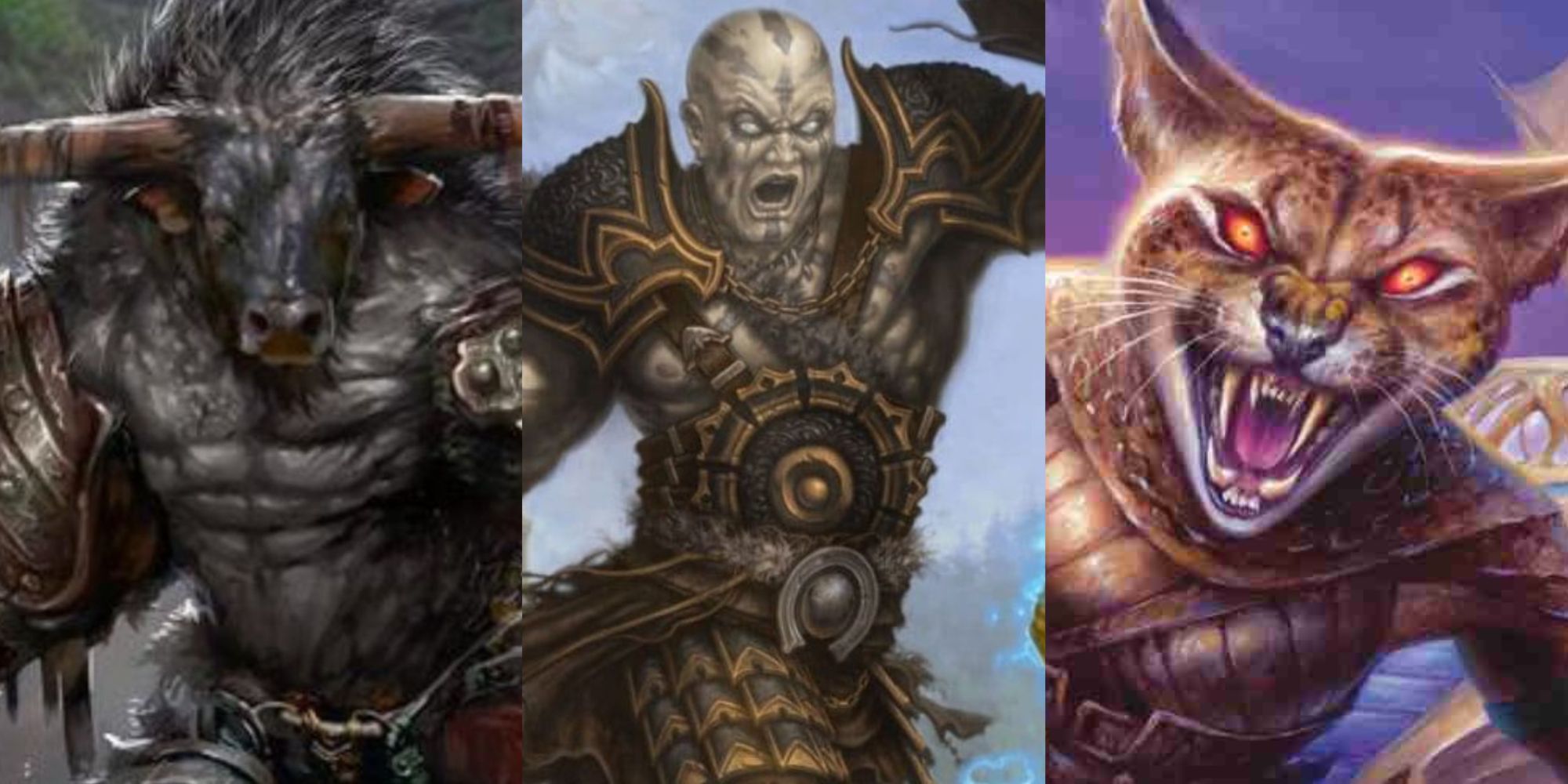 Dungeons and Dragons split image